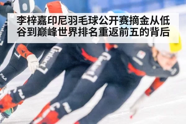 李梓嘉印尼羽毛球公开赛摘金从低谷到巅峰世界排名重返前五的背后